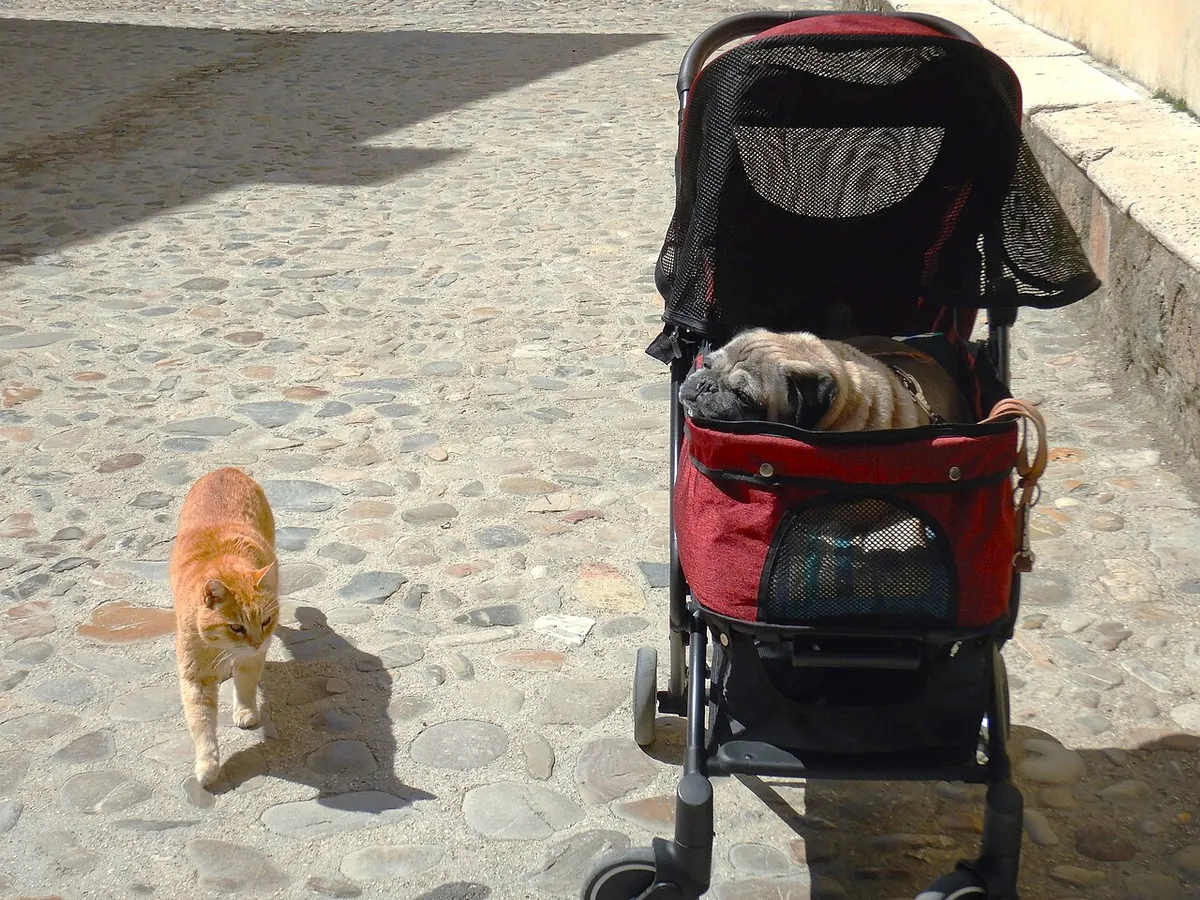 Joie travel stroller, photo 2
