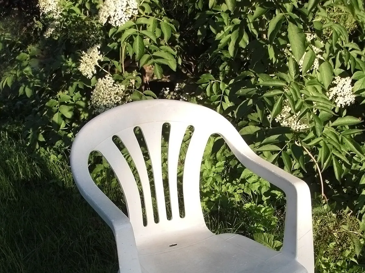Monobloc chairs ×6, puti, photo 2